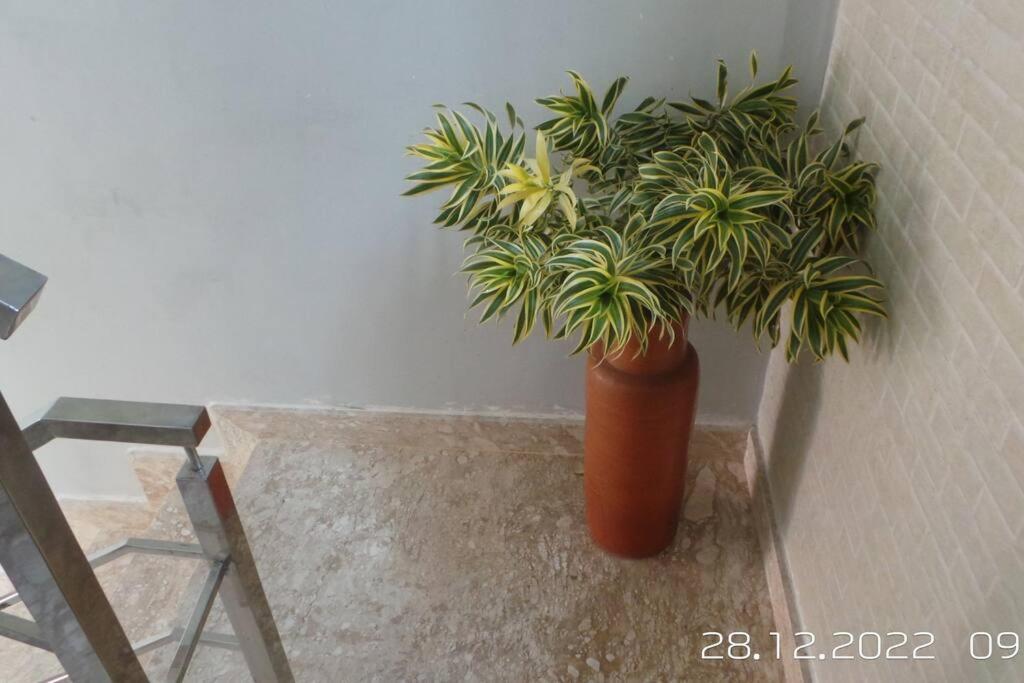 הוילה קמאסארי Excelente Casa Com Piscina מראה חיצוני תמונה